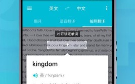 词典面前翻译功能专业软件(翻译有道词典专业功能)