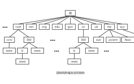域名(域名备案虚拟主机解析国际域名)