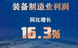 国家统计局：上半年装备制造业利润同比增长6.6%