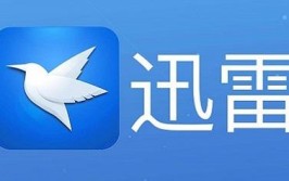 迅雷良心流氓软件APP(迅雷流氓软件良心会员软件)