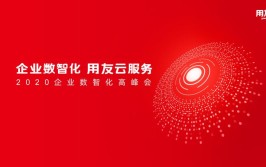 向“新”而行，用友助力中国和环球
企业进入数智化期间
