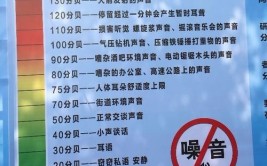 分贝警报精准听力环境健康(分贝听力警报环境精准)