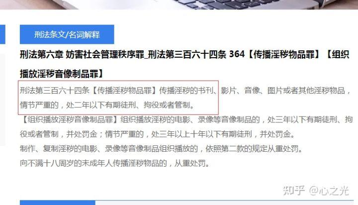 淫秽网络推广不雅物品视频App(河南淫秽法制报视频杨某)