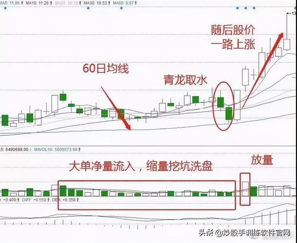 干货选股速度收藏股票选到好(选股股票干货收藏速度)